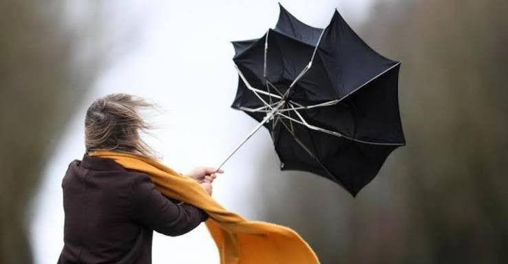 Parapluie classique retourné par le vent